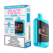 RAZ RX 25K - BLUEBERRY WATERMELON | Authentic Disposable Vape | iPuff24 Texas